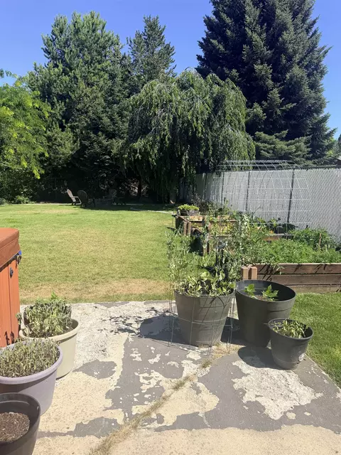 Exterior - 517 E Westcrest Ave, Colbert, WA 99005 photo 6 of 8