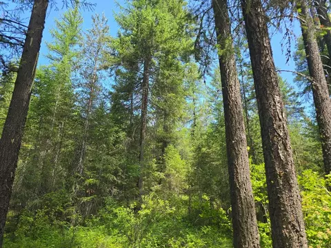 tbd 395 Hwy, Loon Lake, WA 99148