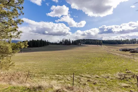 8920 E Schwachtgen Branch Rd # A, Chattaroy, WA 99003