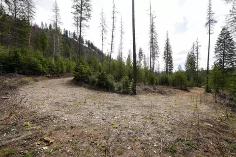 208 N Nn N Leclerc Rd, Cusick, WA 99119 photo 16