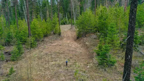 208 N Nn N Leclerc Rd, Cusick, WA 99119 photo 7