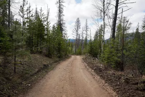 208 N Nn N Leclerc Rd, Cusick, WA 99119 photo 13