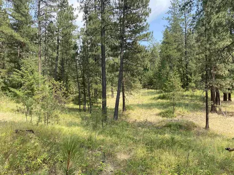 Nnnnn Elk-chattaroy Rd, Elk, WA 99009