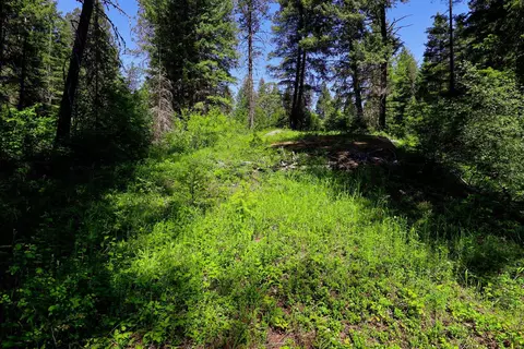 14 Elk Rd Lot 14 Elk Rd #LOT 14 ELK RD, Newport, WA 99156