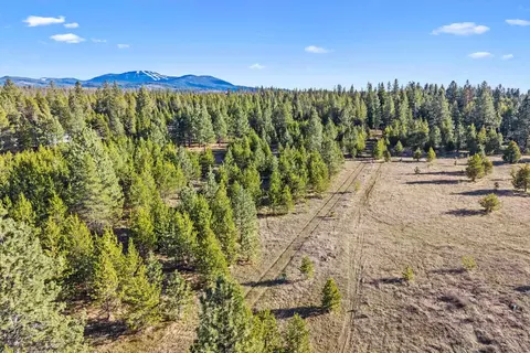 12818 E Bridges Rd, Elk, WA 99009