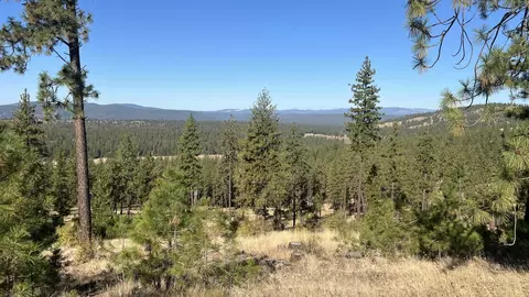 Nna Corkscrew Canyon Rd, Tumtum, WA 99034