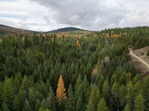 tbd Schlegel Ranch Rd, Ione, WA 99139
