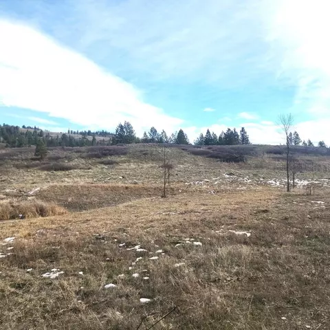 3390 Fg Spirit Ridge Way, Rice, WA 99167