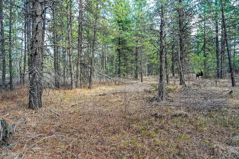 Nnn E Slaton Rd, Deer Park, WA 99006