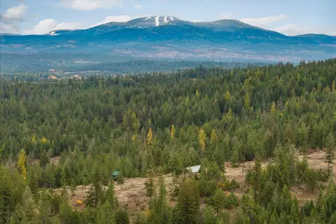 36022 N Milan-elk Rd, Chattaroy, WA 99003