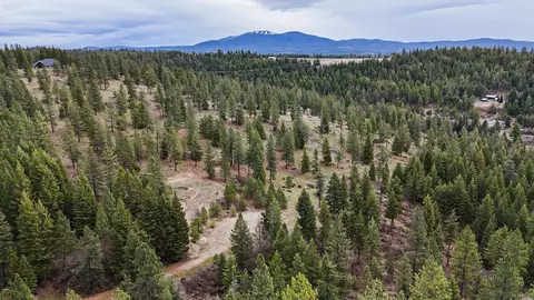 lot29 Barbi Ct, Chattaroy, WA 99003