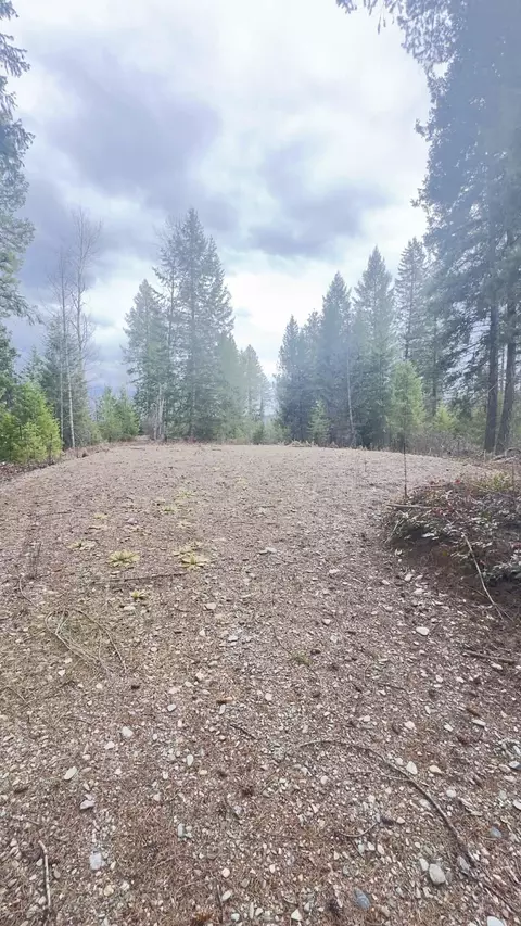 Nkn Wilderness Ave, Ione, WA 99139