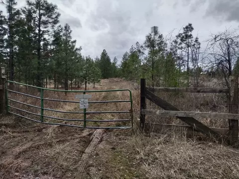 Nn Lyons Hill Rd, Springdale, WA 99173