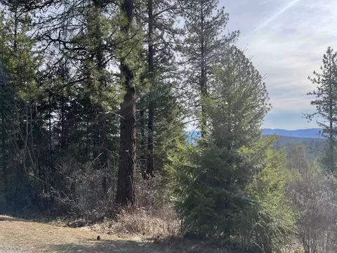 Nka Orin Rice Rd, Colville, WA 99114