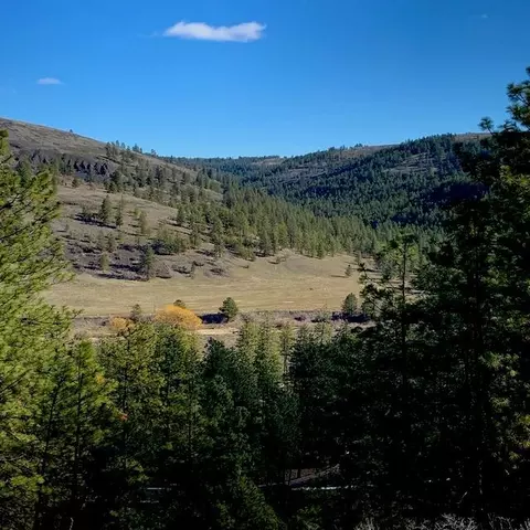 lot2 Scenic Short Plat Dr, Davenport, WA 99122