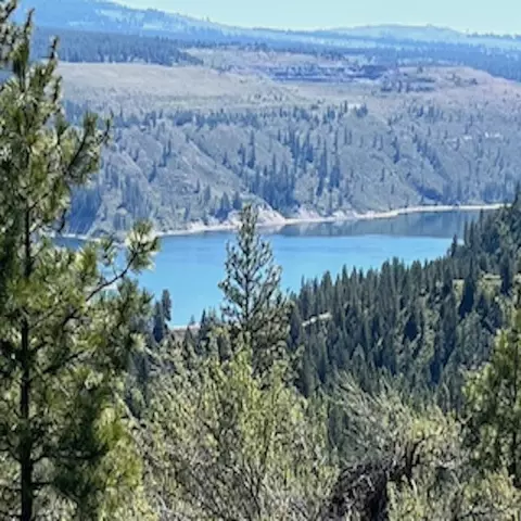 lot17 Bighorn Dr, Davenport, WA 99122