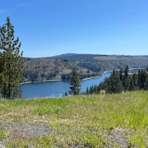 lot13 Quill Dr, Davenport, WA 99122