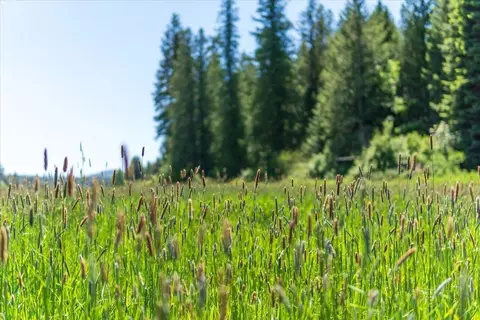 NNNN Hwy 211 #2, Newport, WA 99156