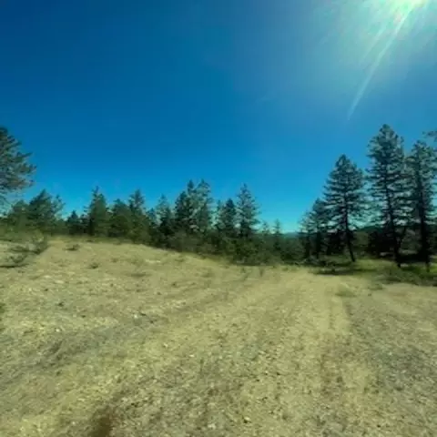 lot27 Bighorn Dr, Davenport, WA 99122