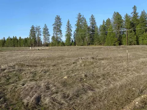 39 N Nnn N Newport Hwy #PARCEL39151.9089, Elk, WA 99009