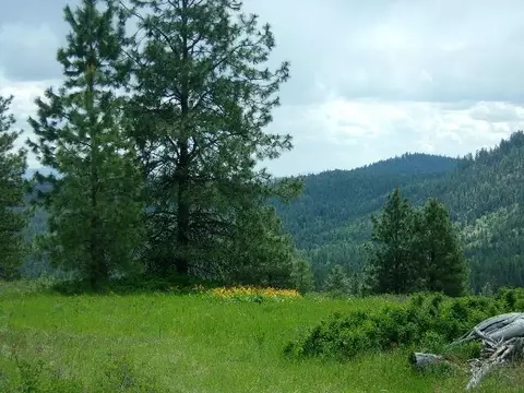 Xxxo Hoag Rd, Valley, WA 99181