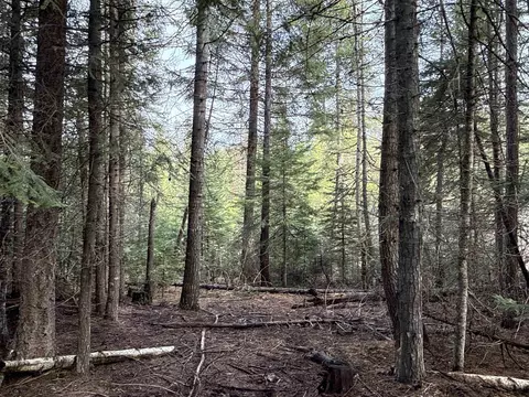 Nka Eagle Ridge Way, Springdale, WA 99173