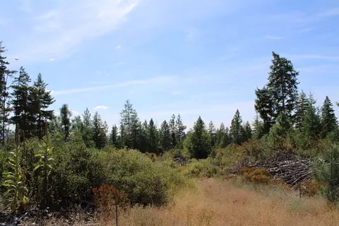 Nnn Ellery Ranch Rd, Elk, WA 99009