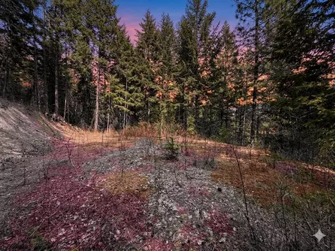 Nna Buck Creek Rd, Loon Lake, WA 99148