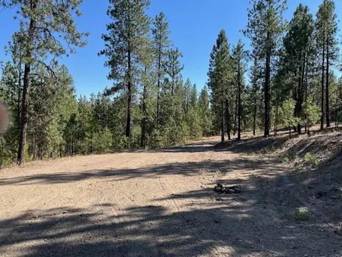 lot3 Top Notch Bob White Ln, Davenport, WA 99122