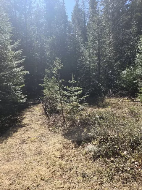 192 Meadowlark Ln, Cusick, WA 99119