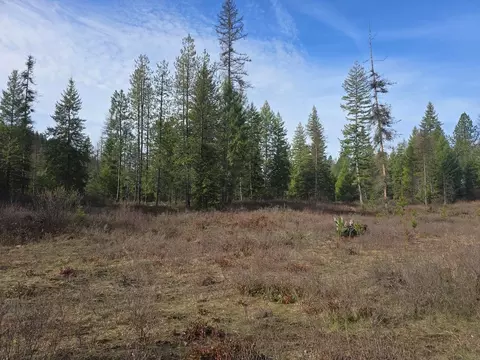 3 Nnn Lot Apt 11 Larkspur Way, Kettle Falls, WA 99141