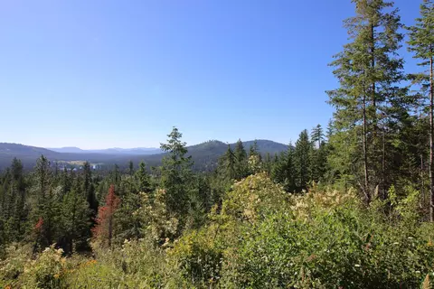 Nnn Buck Creek Rd, Newport, WA 99156