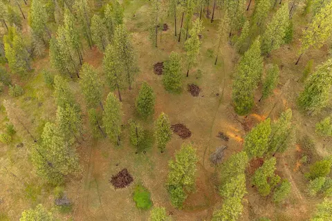 View/Area - 6 E Wild Rose Rd, Colbert, WA 99005 photo 6 of 6