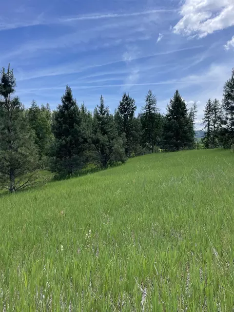 4435 Whittier Rd, Clayton, WA 99110