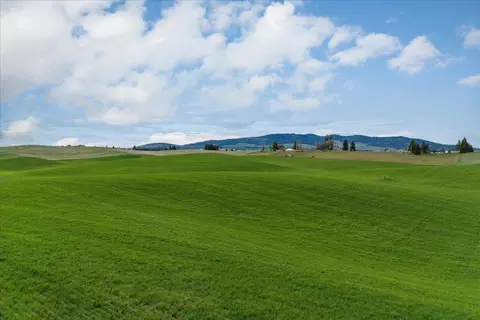 14906 S Madison Rd #ADDRESS STATED IS APPROXIMAT, Valleyford, WA 99036