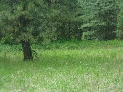 X11x Hoag Rd, Valley, WA 99181