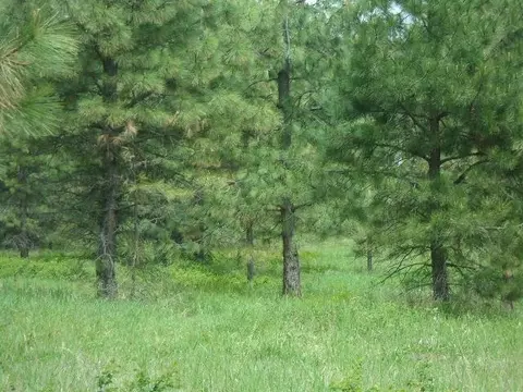 X12x Hoag Rd, Valley, WA 99181