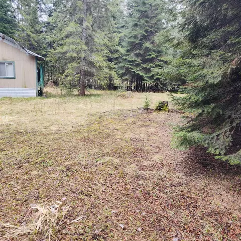 1101 Larch Ln, Cusick, WA 99119 photo 2