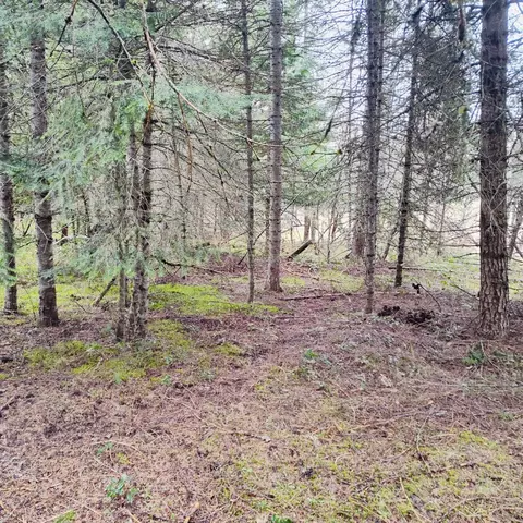 1101 Larch Ln, Cusick, WA 99119 photo 4