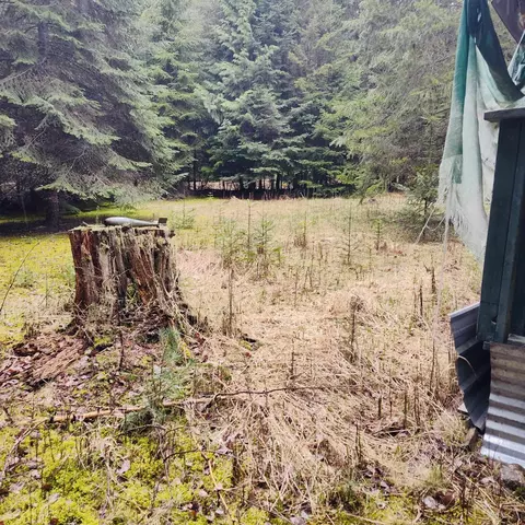 1101 Larch Ln, Cusick, WA 99119 photo 8