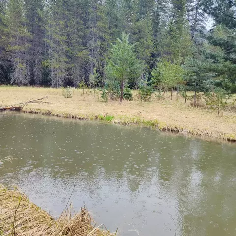 1101 Larch Ln, Cusick, WA 99119 photo 9