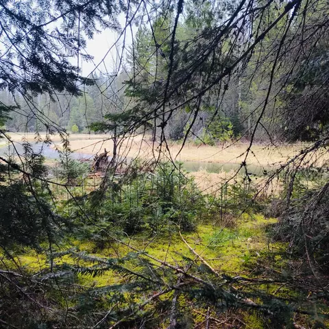 1101 Larch Ln, Cusick, WA 99119 photo 7