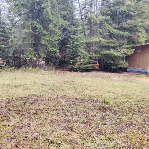 1101 Larch Ln, Cusick, WA 99119 photo 6