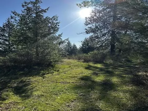 tbd Waldrons Ln, Chattaroy, WA 99009