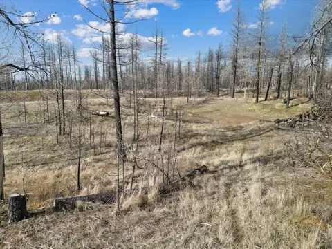 15015 Eistrup Rd, Elk, WA 99009 photo 8