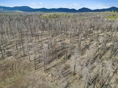 15015 Eistrup Rd, Elk, WA 99009 photo 4