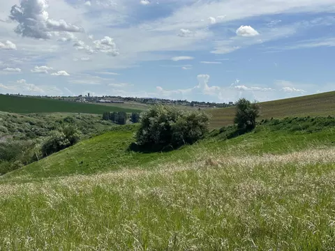 7 S Nn S Armstrong Rd, Pullman, WA 99163 photo 3