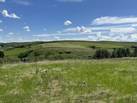 7 S Nn S Armstrong Rd, Pullman, WA 99163 photo 10
