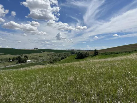 7 S Nn S Armstrong Rd, Pullman, WA 99163 photo 2