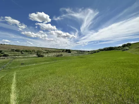 7 S Nn S Armstrong Rd, Pullman, WA 99163 photo 6